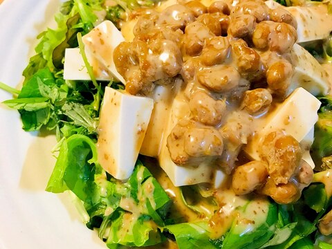 今日の納豆●ベビーリーフ＆豆腐のサラダ